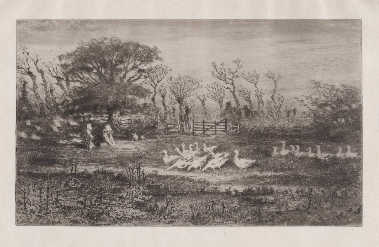 Liba, 1860-98. alkotó: Felix Hilaire Buhot