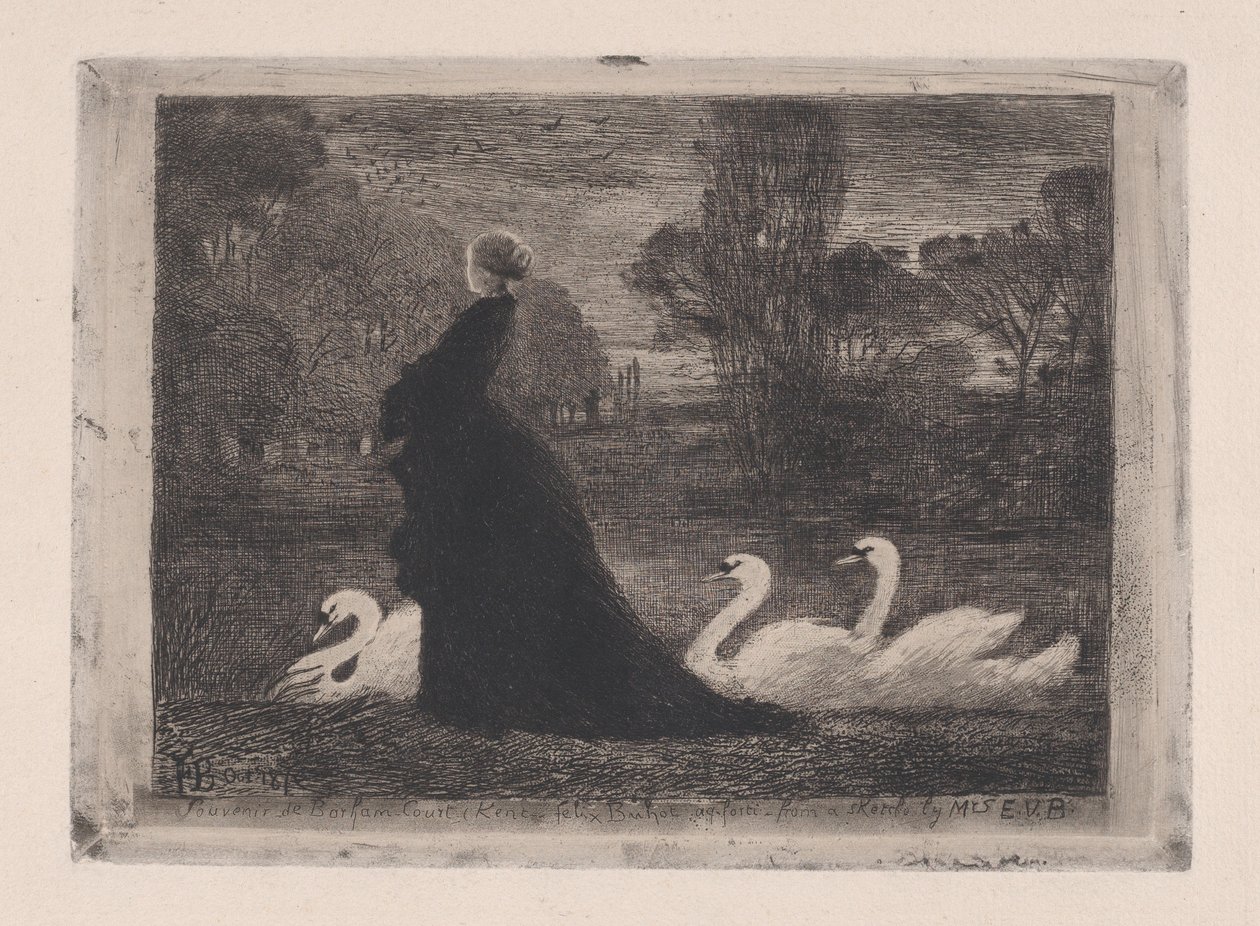 A hattyúk hölgye, 1879. alkotó: Felix Hilaire Buhot
