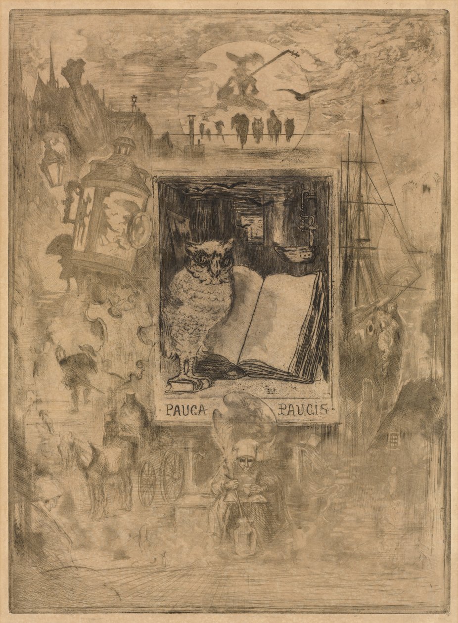 A bagoly, 1883. alkotó: Felix Hilaire Buhot