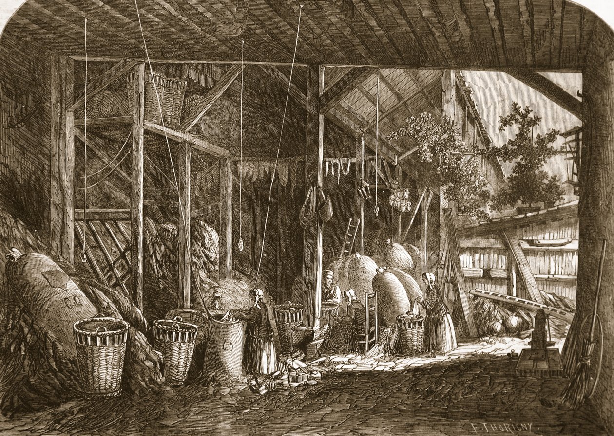 Rongyos raktár a Quartier Mouffetardban, Párizsban, illusztráció a „The Illustrated London News”-ból, 1861. június 8. alkotó: Felix Thorigny