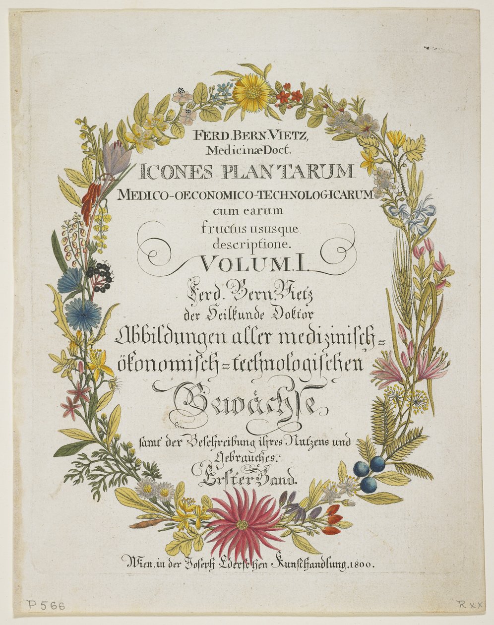 Frontispiece and Title Page, Vol. I, a Növények ikonjai, orvosi-gazdasági-technológiája gyümölcsökkel és felhasználási területükkel, 1800 (kézzel színezett metszet) alkotó: Ferdinand Bernhard Vietz