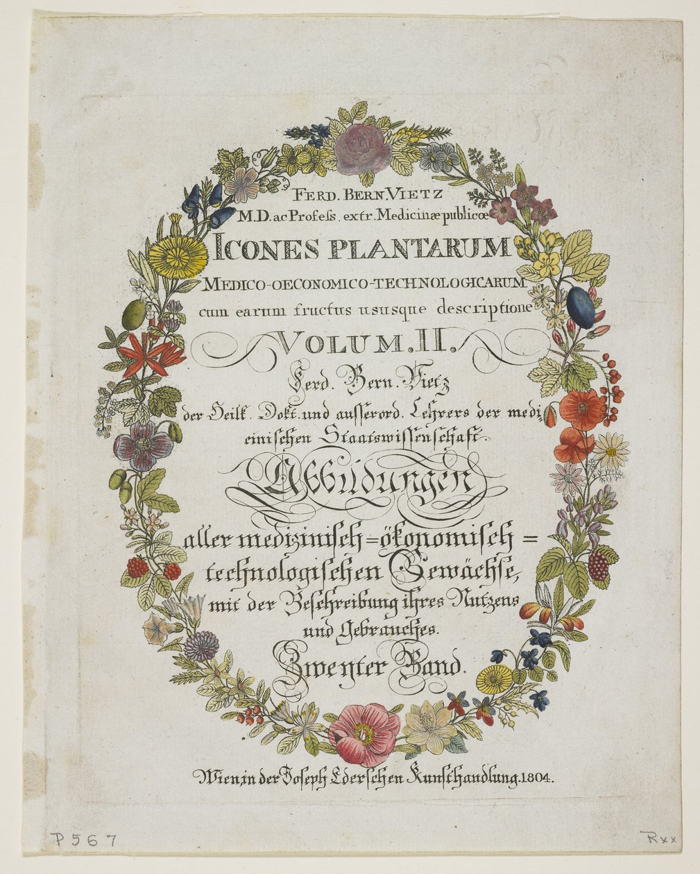 Frontispiece and Title Page, Vol. II, a Növények ikonjai az orvosi-gazdasági-technológiából gyümölcsökkel és felhasználásuk leírásával, 1804 (kézzel színezett metszet) alkotó: Ferdinand Bernhard Vietz