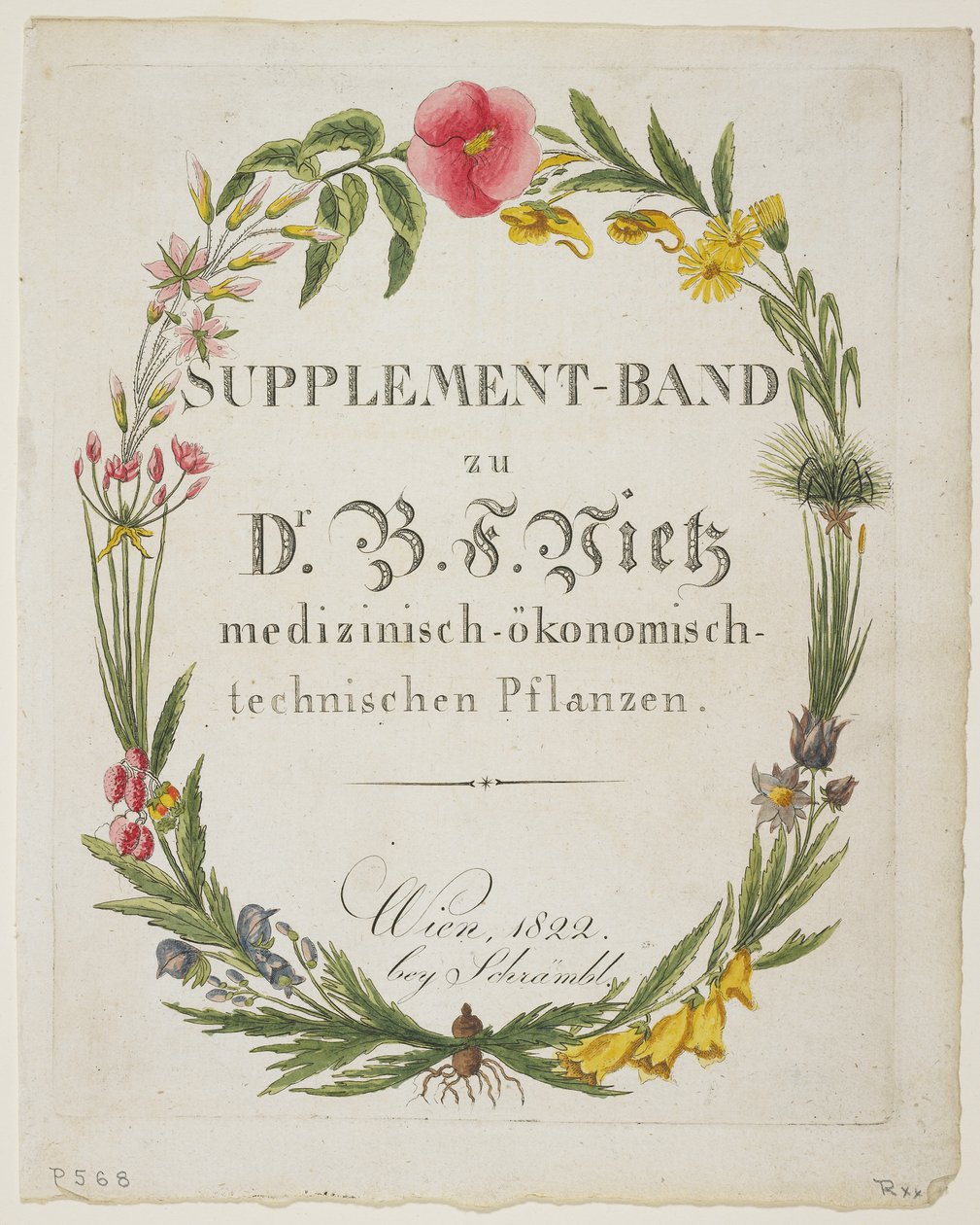 Előlap és címlap a Kiegészítő Band zu Dr. B. F. Vietz medizinisch-okonomisch-technischen Pflanzen alkotó: Ferdinand Bernhard Vietz