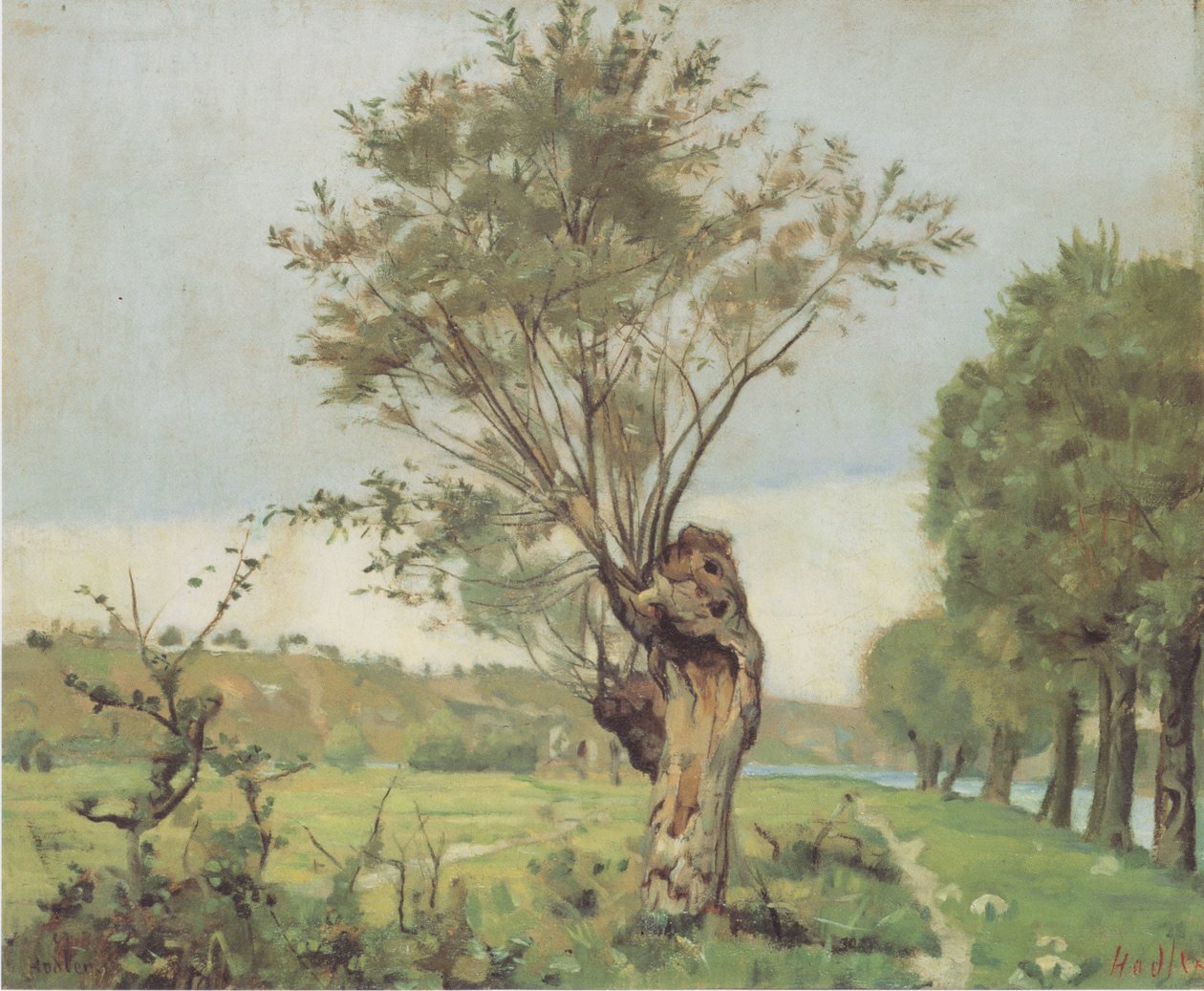 Fűzfák a Jonction közelében, Genf közelében alkotó: Ferdinand Hodler
