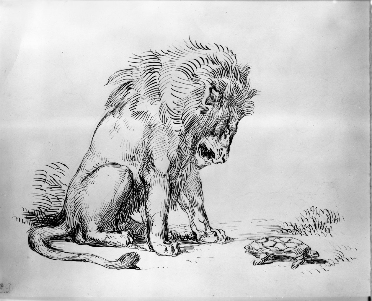 Oroszlán és teknős alkotó: Ferdinand Victor Eugene Delacroix