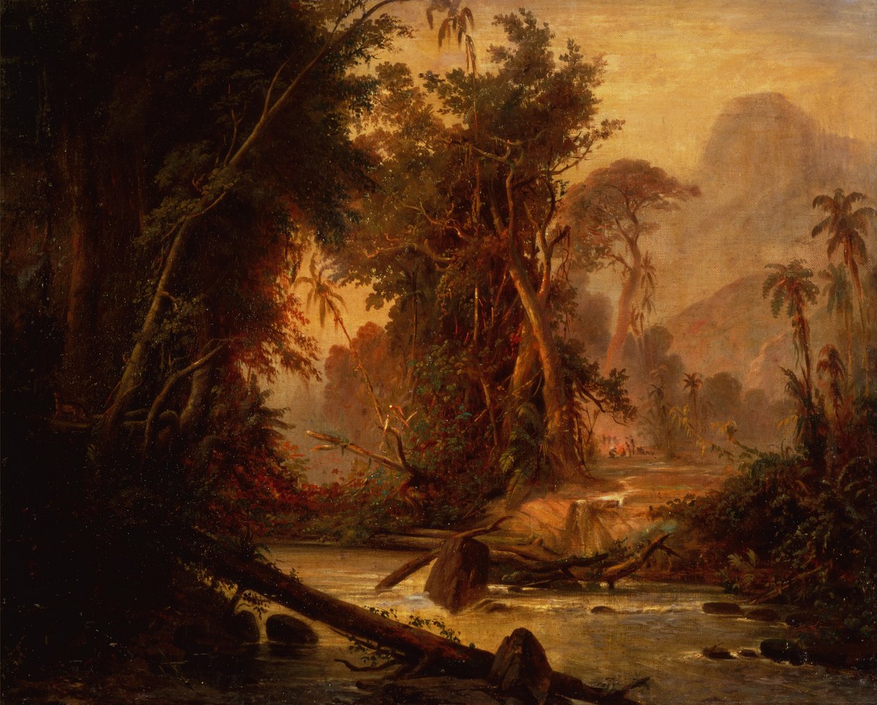 Trópusi erdő Venezuelában (olaj, vászon) alkotó: Ferdinand Bellermann