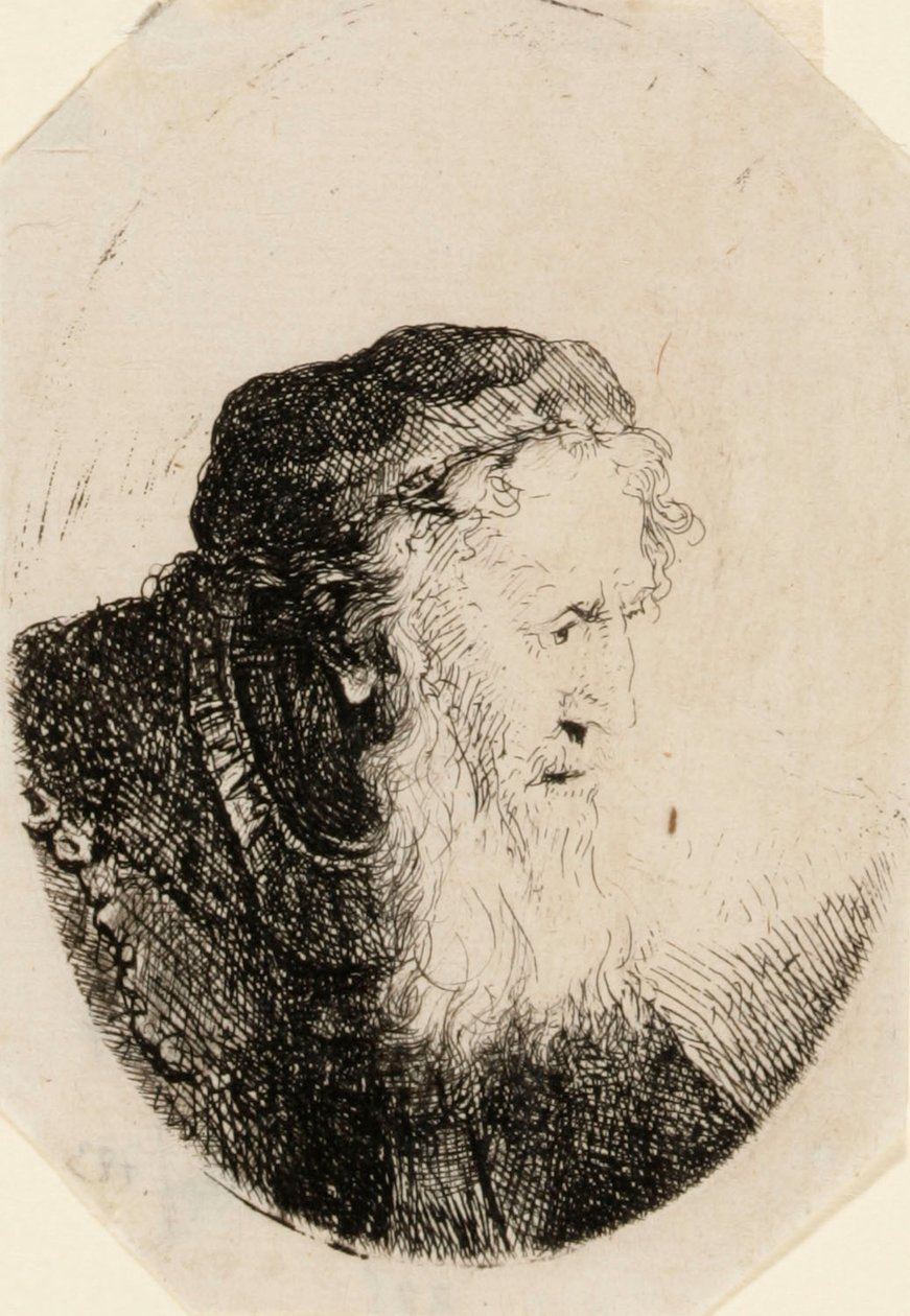 Öregember hullámzó szakállal alkotó: Ferdinand Bol
