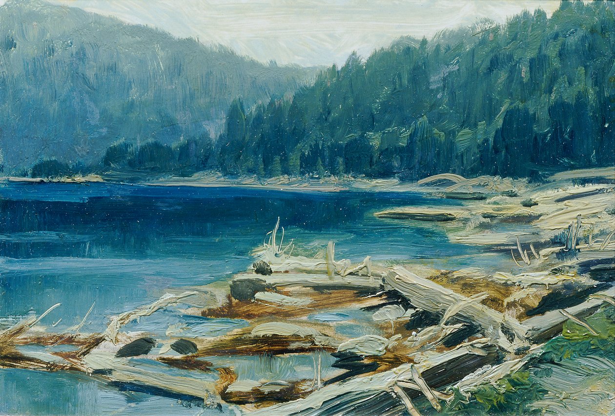 Šumava (a „Česka Krajiná cseh tájainak 16 képe” című portfólióból) alkotó: Ferdinand Engelmuller