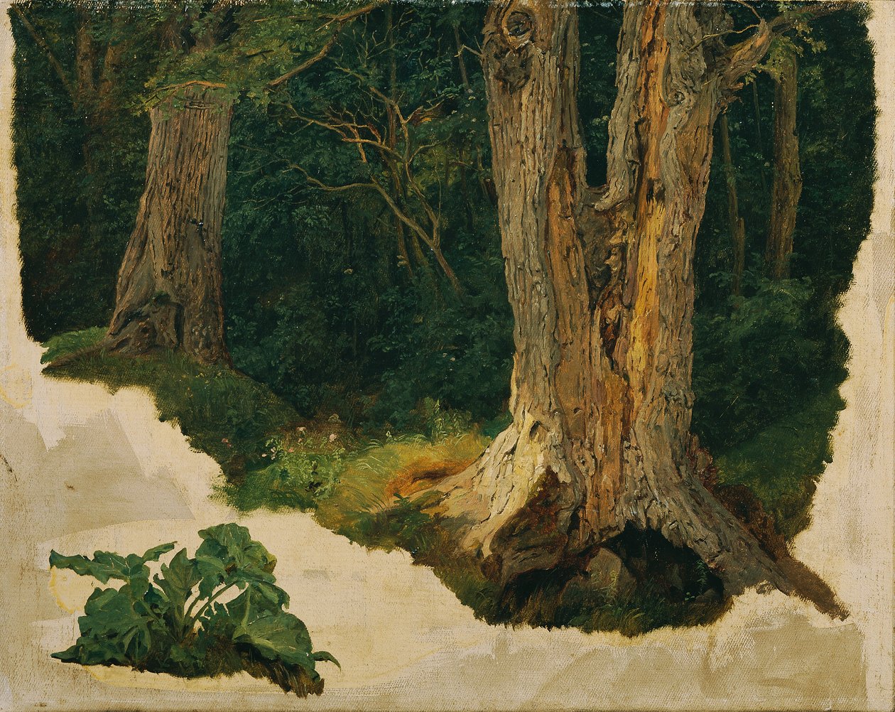 fa tanulmány alkotó: Ferdinand Georg Waldmuller