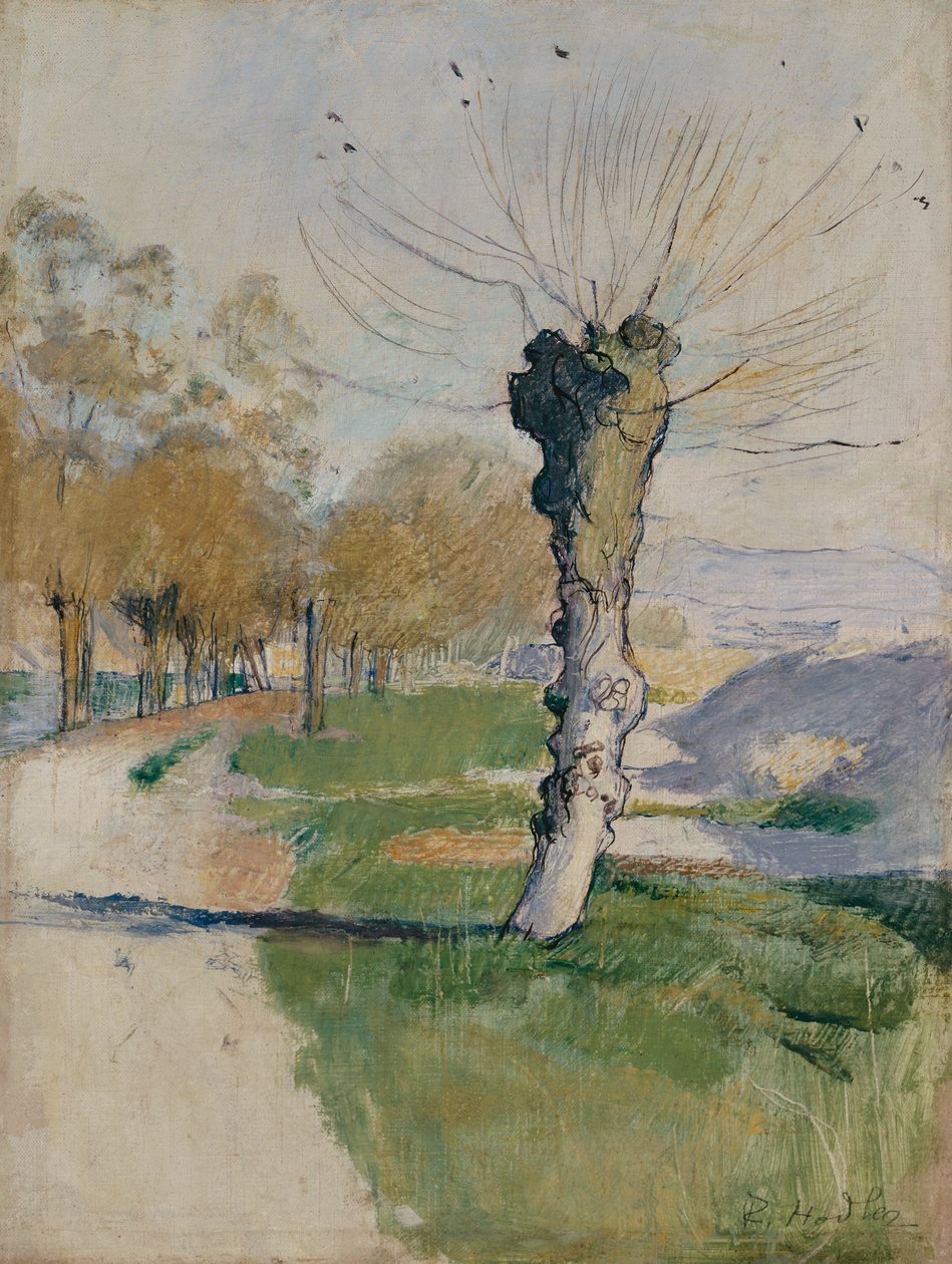 Willow Tree at the Junction, vagy Willow Tree in Spring, 1885 körül (olaj, vászon) alkotó: Ferdinand Hodler
