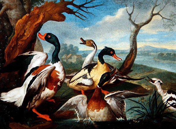 Kacsák a folyóban (olaj, vászon) alkotó: Ferdinand Phillip de Hamilton