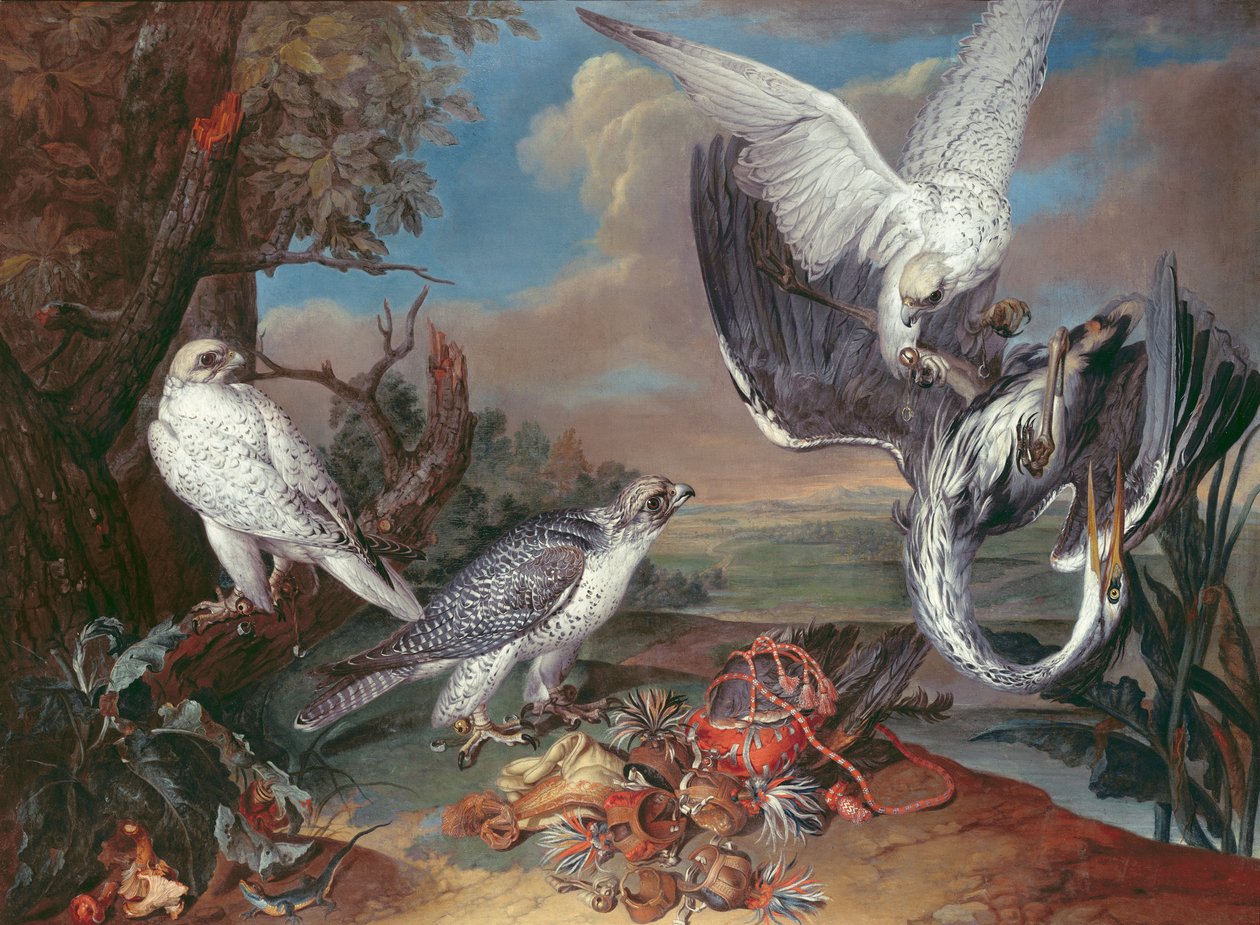 Grönland Cyr Falcons alkotó: Ferdinand Phillip de Hamilton