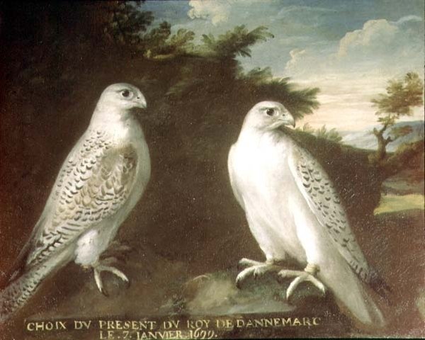 Gyrfalcon pár egy tájban alkotó: Ferdinand Phillip de Hamilton