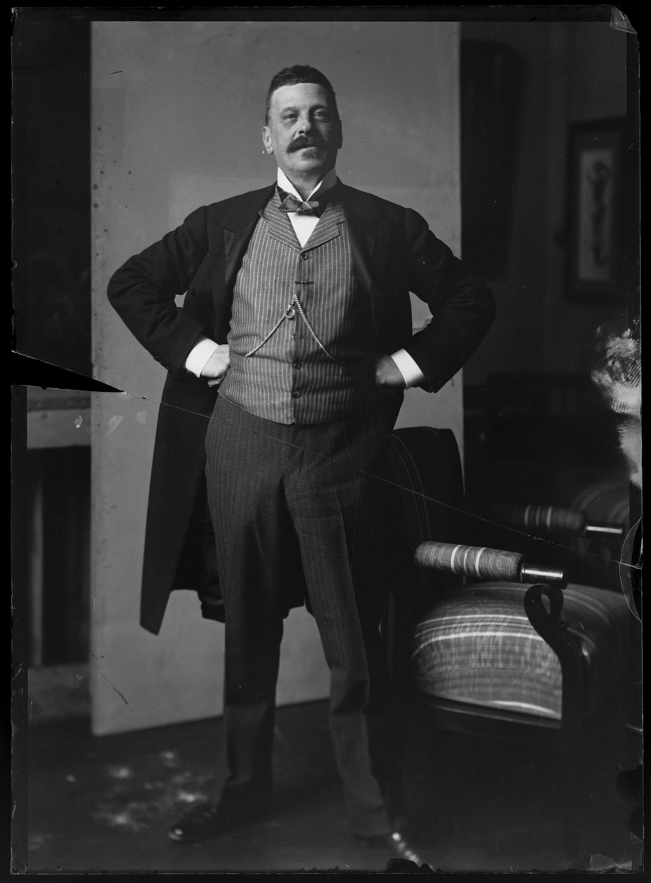 Charles Wittgenstein (1847-1913) képe alkotó: Ferdinand Schmutzer