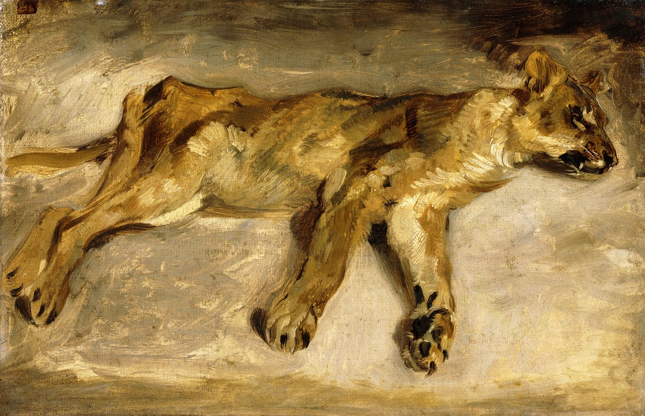 Egy alvó oroszlán, 1830 körül alkotó: Ferdinand Victor Eugene Delacroix