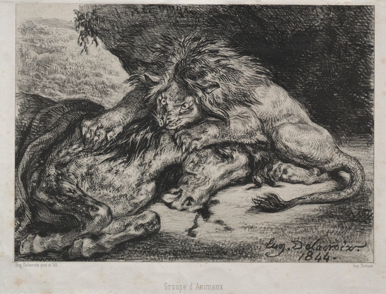 Oroszlán felfal egy lovat, 1844. alkotó: Ferdinand Victor Eugene Delacroix