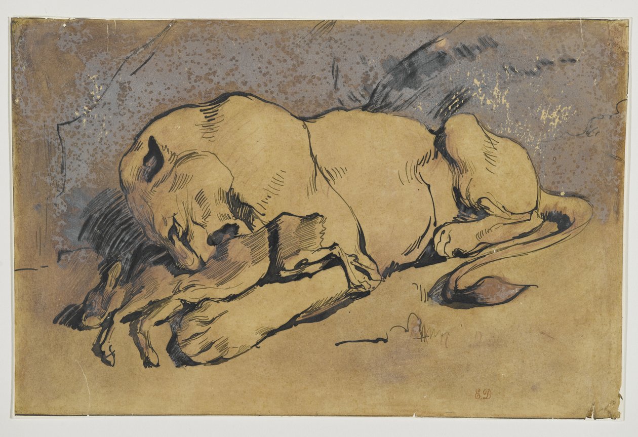 Oroszlán felfal egy nyulat (toll és tinta vöröses mosással barna papíron) alkotó: Ferdinand Victor Eugene Delacroix