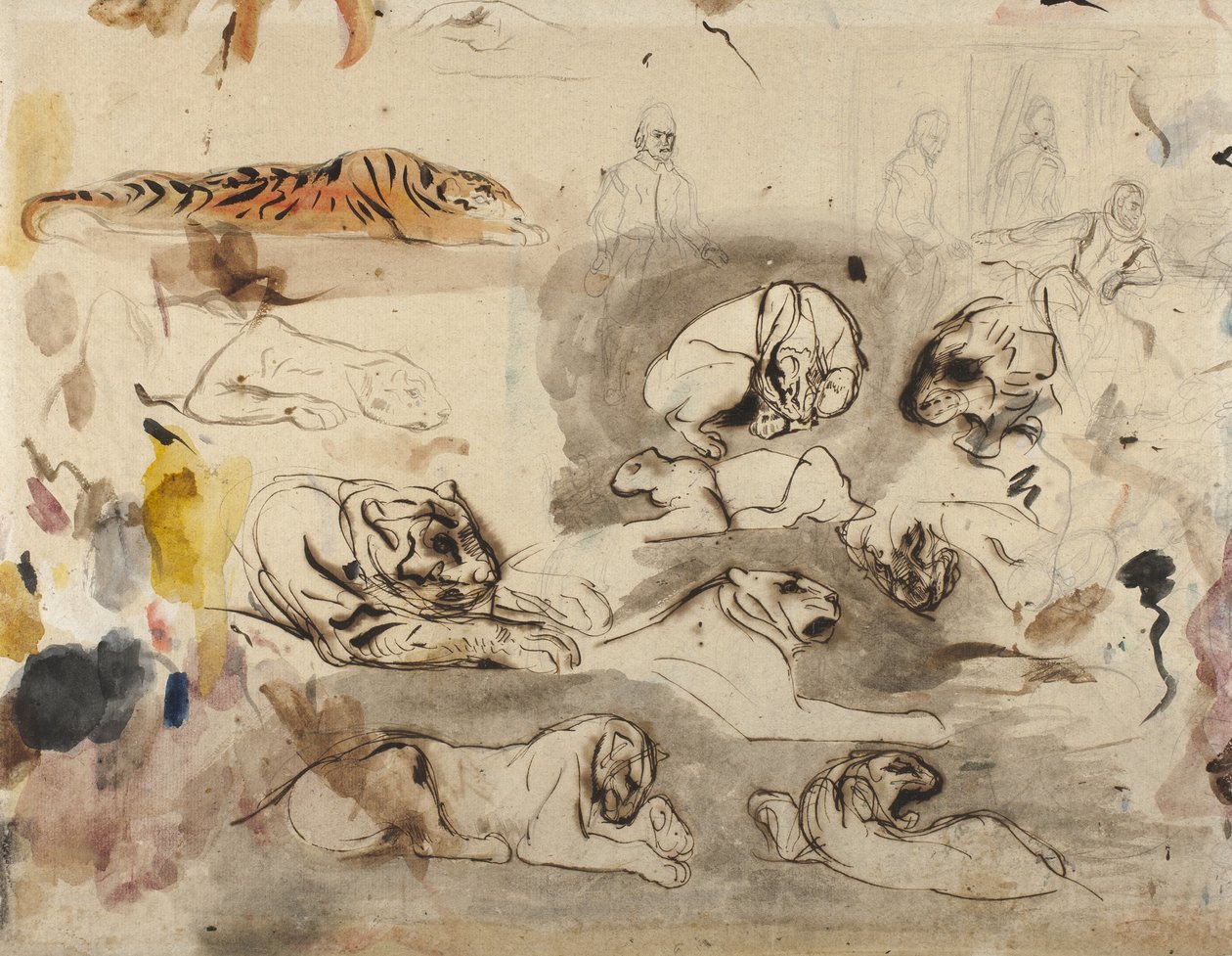 Vázlatok tigrisekről és férfiakról 16. századi kosztümben, 1828-29 alkotó: Ferdinand Victor Eugene Delacroix