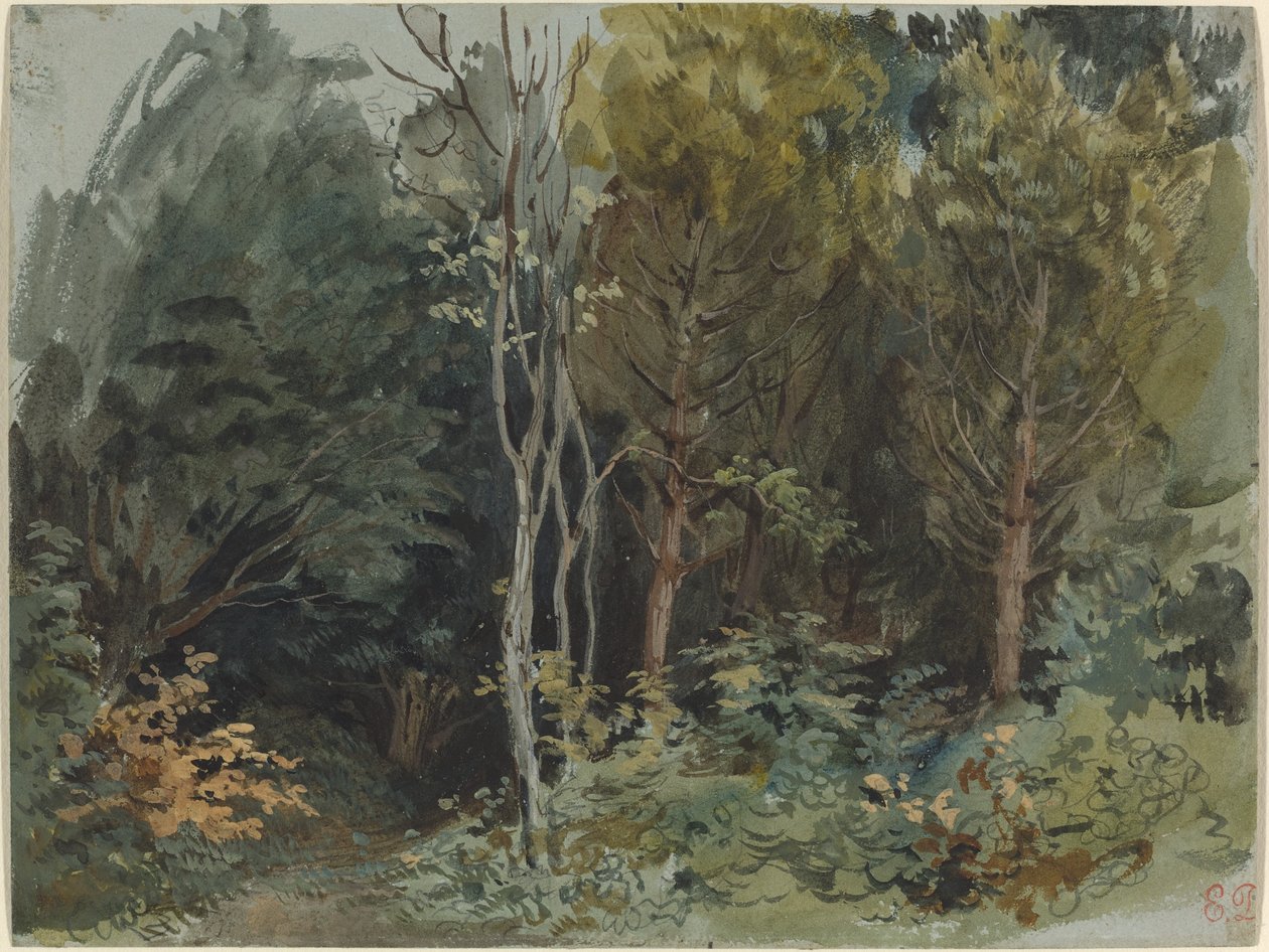 Az erdő széle Nohantban, c. 1842-1843 (akvarell) alkotó: Ferdinand Victor Eugene Delacroix