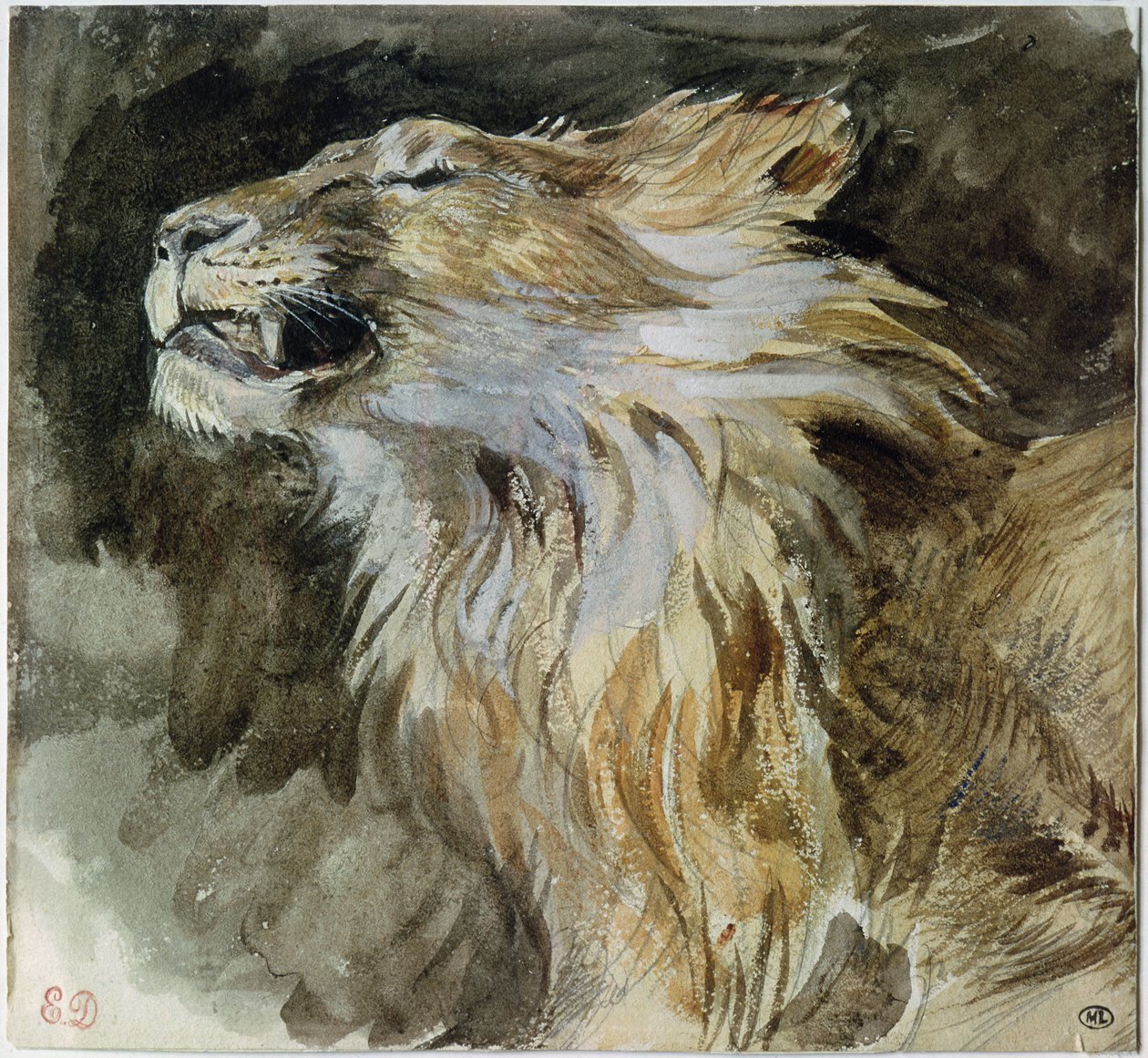 Az oroszlán feje (akvarell papíron) alkotó: Ferdinand Victor Eugene Delacroix