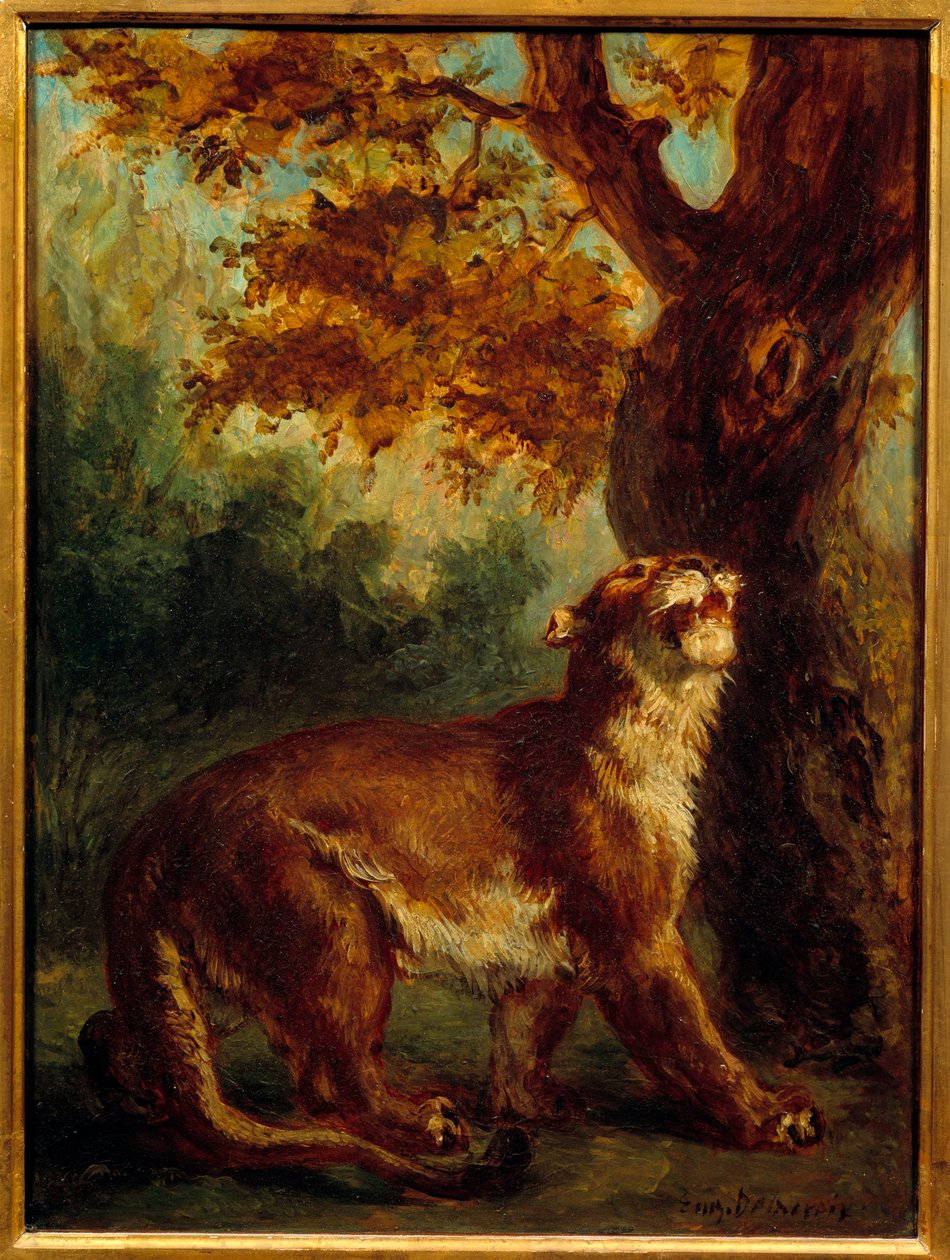 A puma azt is mondja, hogy az oroszlán zsákmányt keres. Eugene Delacroix festménye (1798-1863) alkotó: Ferdinand Victor Eugene Delacroix