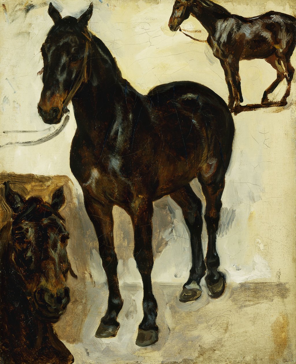 Három tanulmány a lovakról; Három tanulmány a lovakról, 1823 körül alkotó: Ferdinand Victor Eugene Delacroix