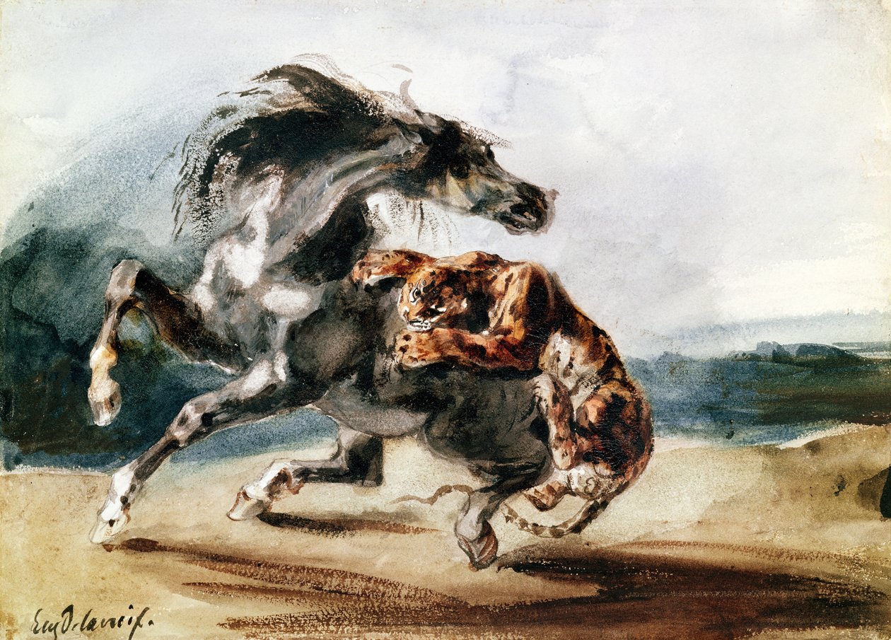 A tigris megtámad egy vad lovat (toll, tinta és akvarell papíron) alkotó: Ferdinand Victor Eugene Delacroix