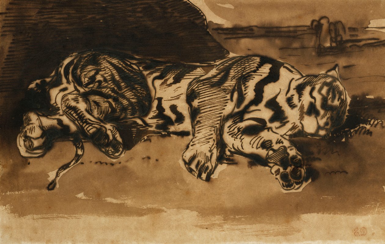 Tigris fekve; Tigris kanapé, 1858 alkotó: Ferdinand Victor Eugene Delacroix
