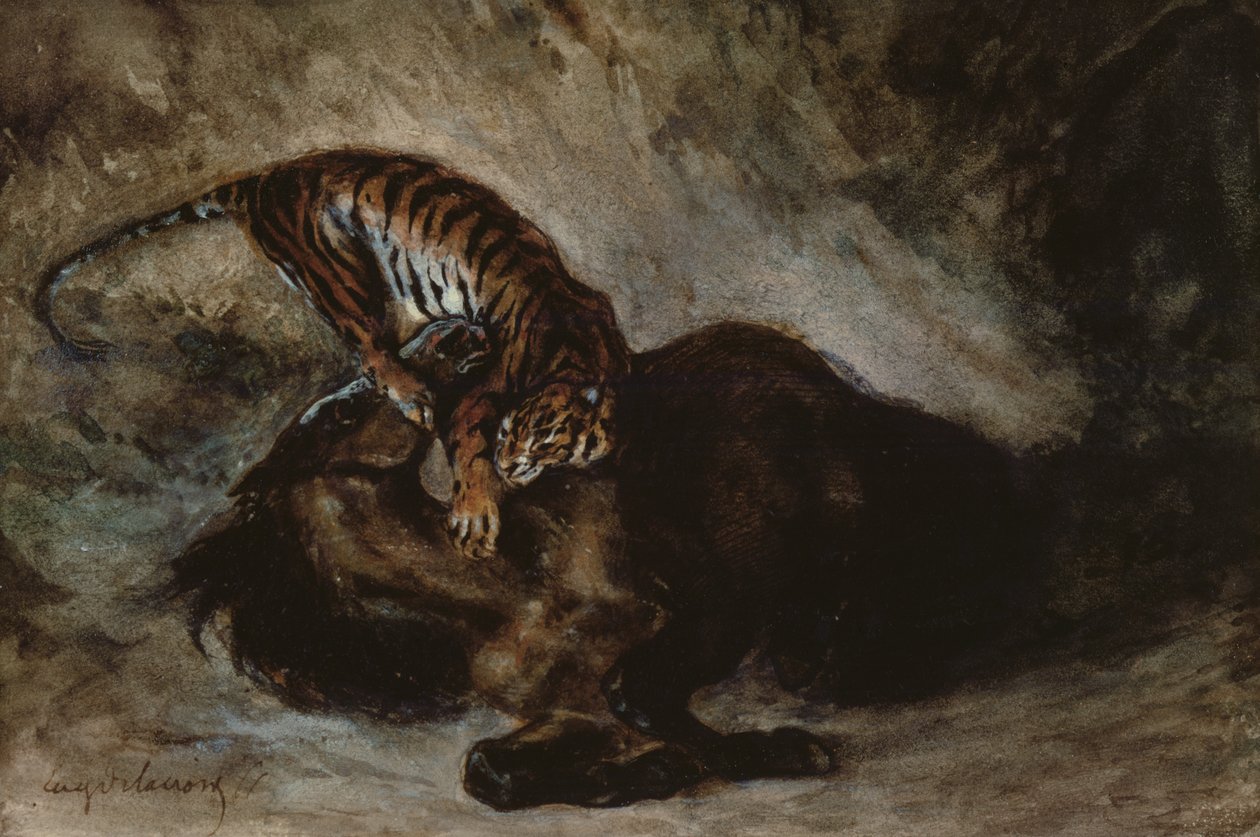 Tigris megtámad egy lovat (wc papíron) alkotó: Ferdinand Victor Eugene Delacroix