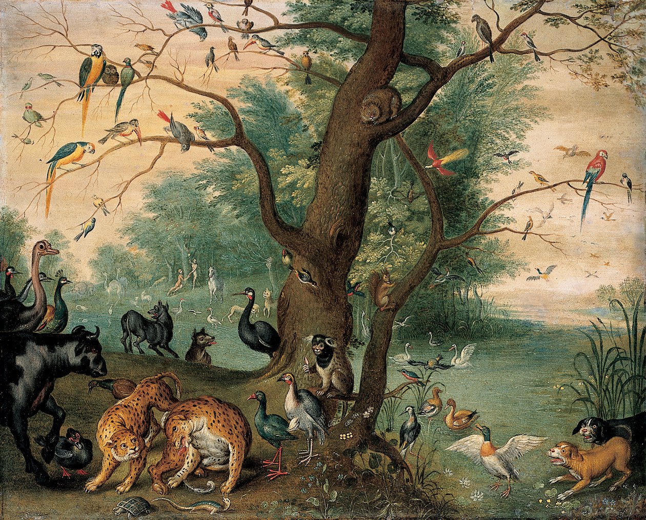 Állatok és madarak az Édenkertben alkotó: Ferdinand van Kessel
