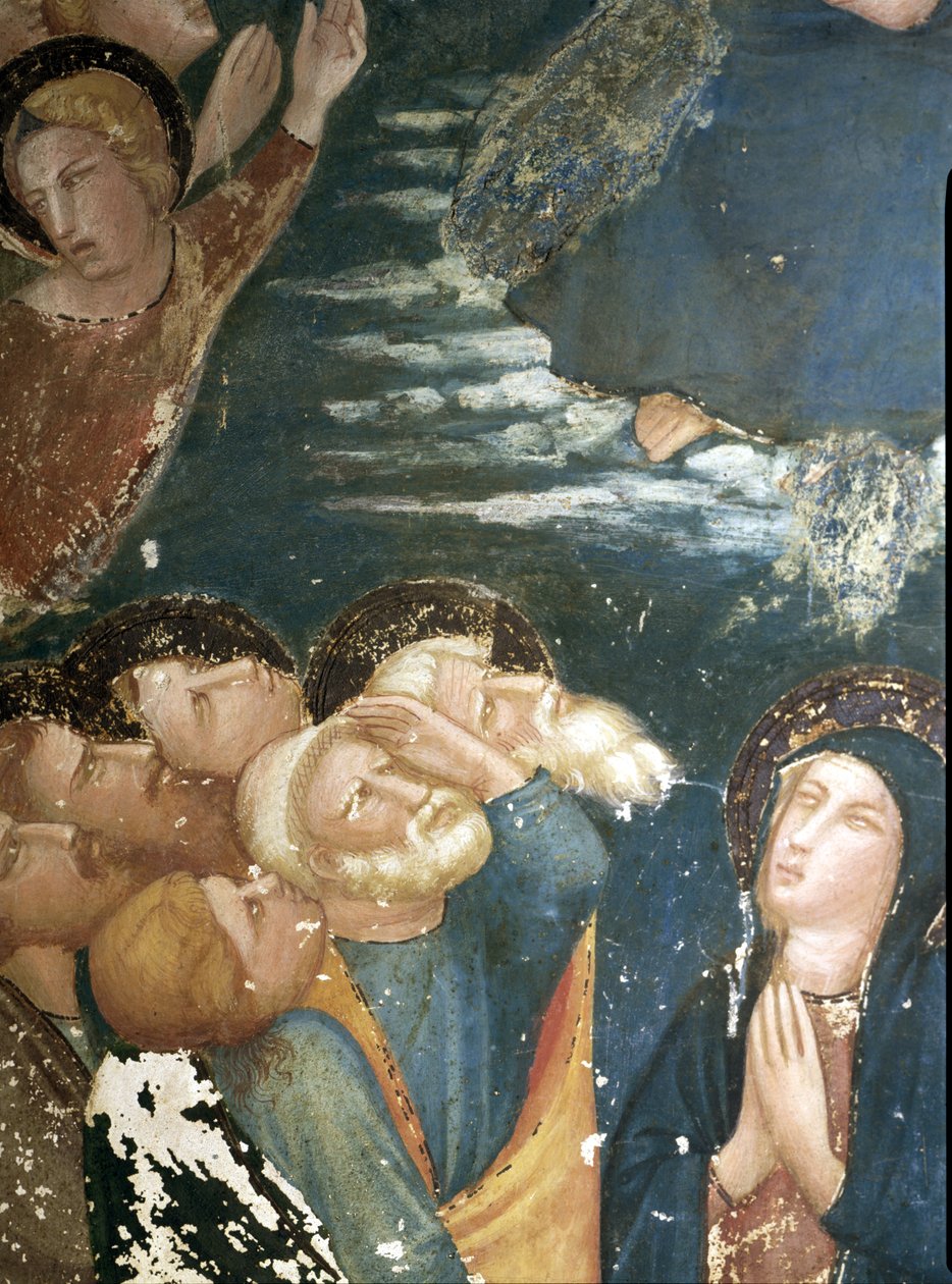  alkotó: Ferrer Bassa