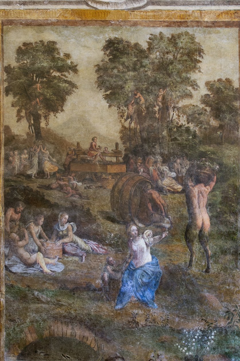 "Szüret", részlet a Camerino dei Bacchanaliból (friss) alkotó: Filippino (and workshop) Lippi