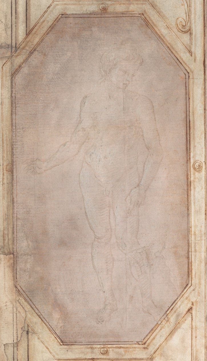 Álló meztelen fiatalság alkotó: Filippino Lippi