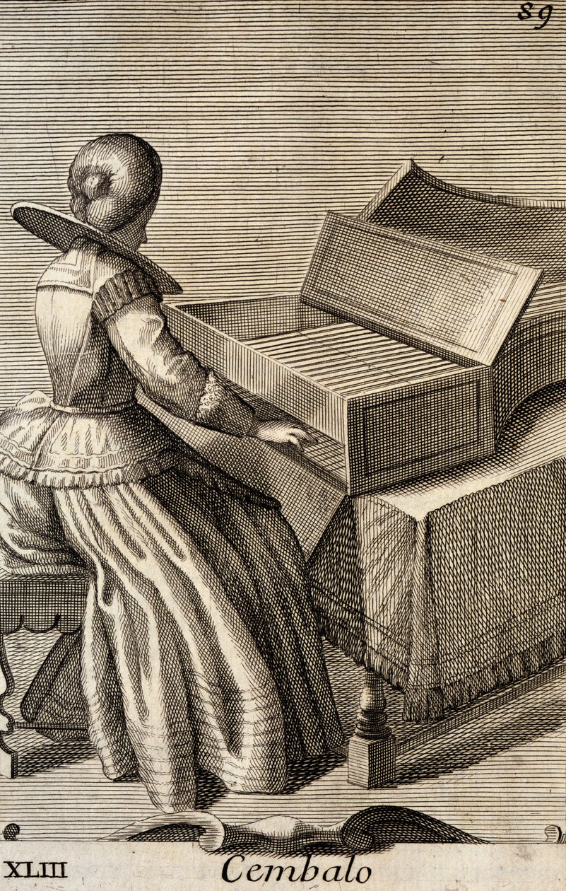 Woman playing the harpsichord alkotó: Filippo Bonanni