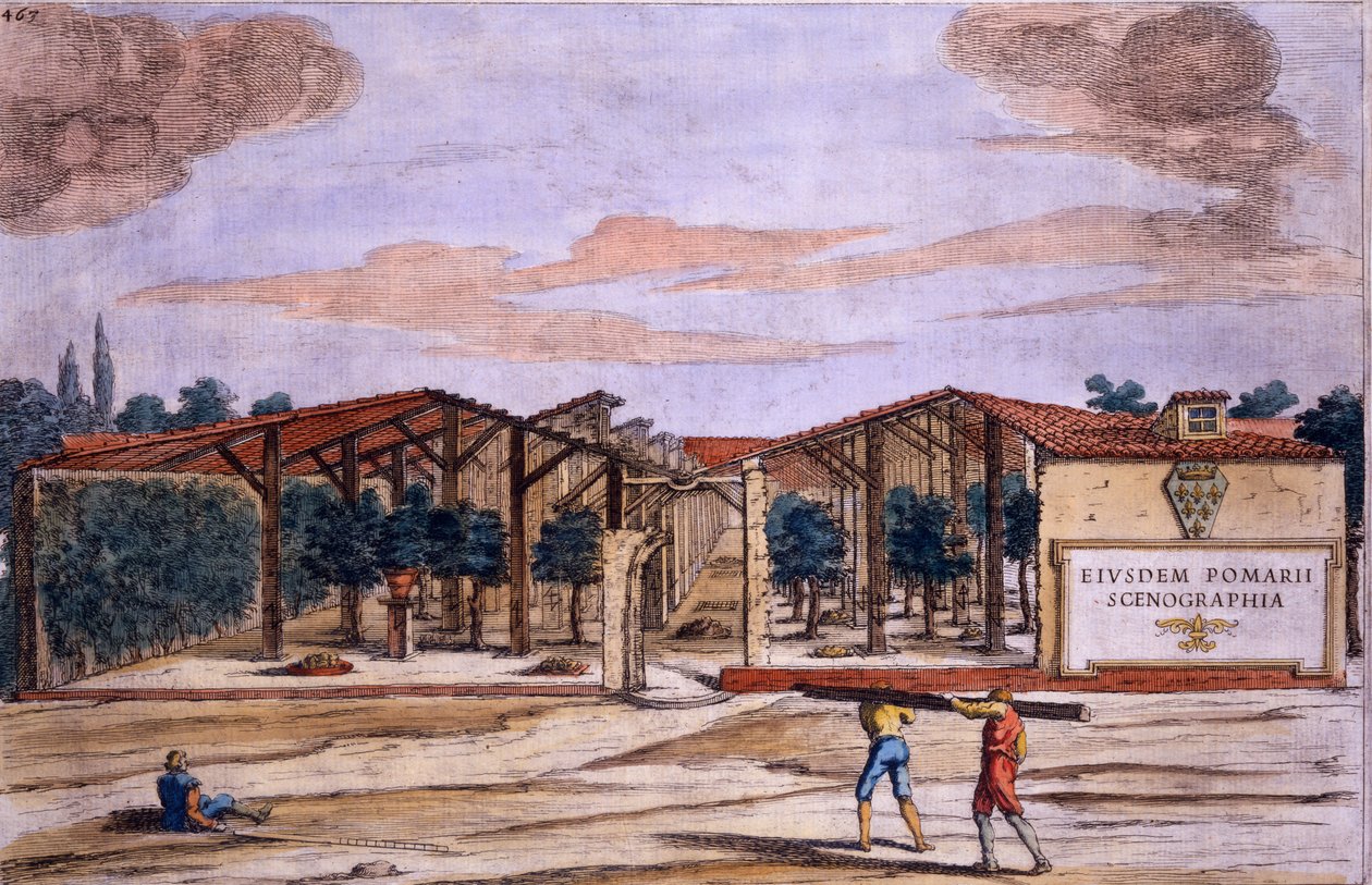 Fedett gyümölcsös, Giovanni Battista Ferrari „Hesperides” című művéből, Camillo Congio metszete (fl.1630), megjelent 1646 alkotó: Filippo Gagliardi