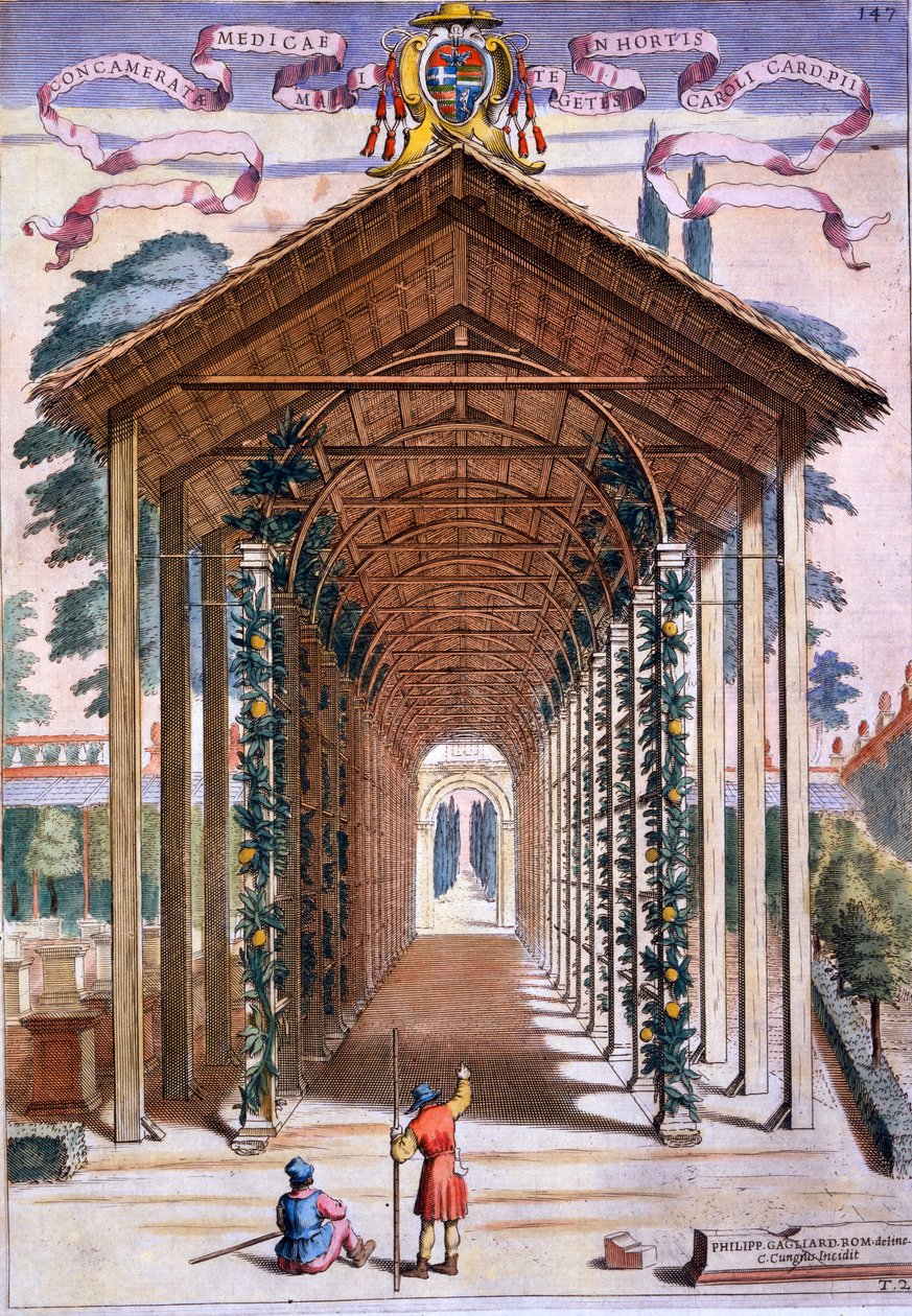 Egy rácsos fedett sétaút, Giovanni Battista Ferrari „Hesperides” című művéből, Camillo Congio (fl.1630) metszete, 1646-ban megjelent alkotó: Filippo Gagliardi