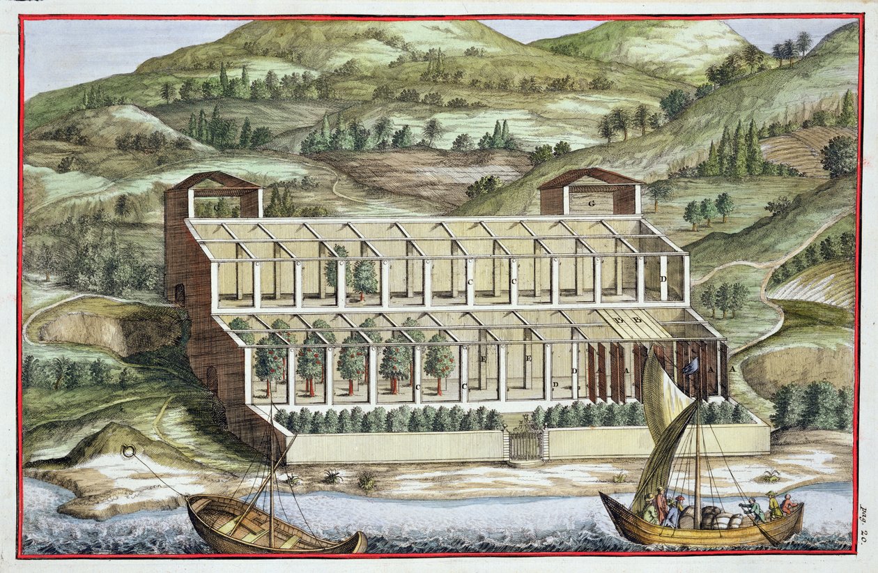 Egy melegház szerkezete, Giovanni Battista Ferrari "Hesperides" című művéből, metszette Cammillo Congio (1630 körül), megjelent 1646-ban. alkotó: Filippo Gagliardi