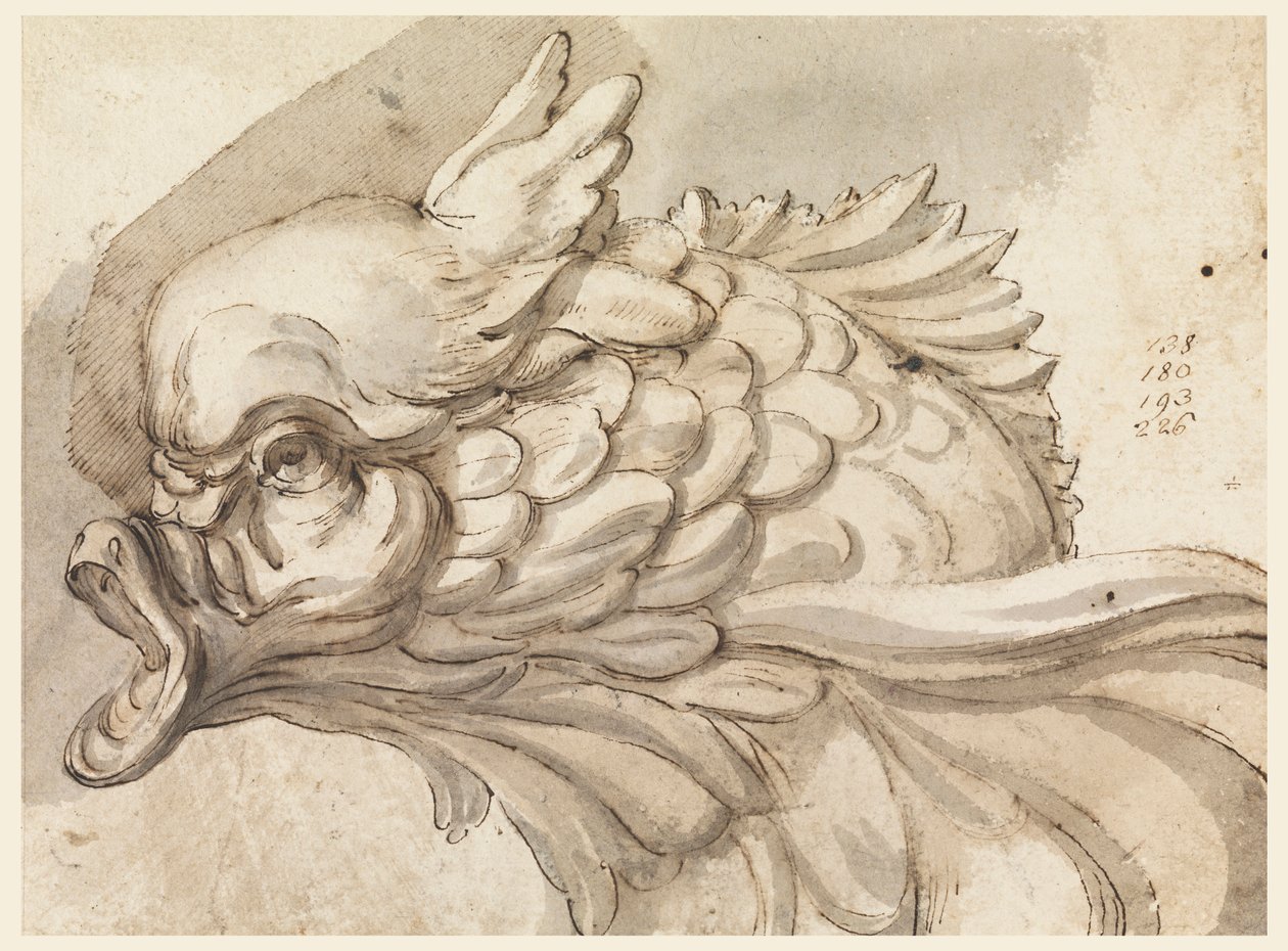 Rajz, egy delfin feje, kb. 1775 alkotó: Filippo Marchionni