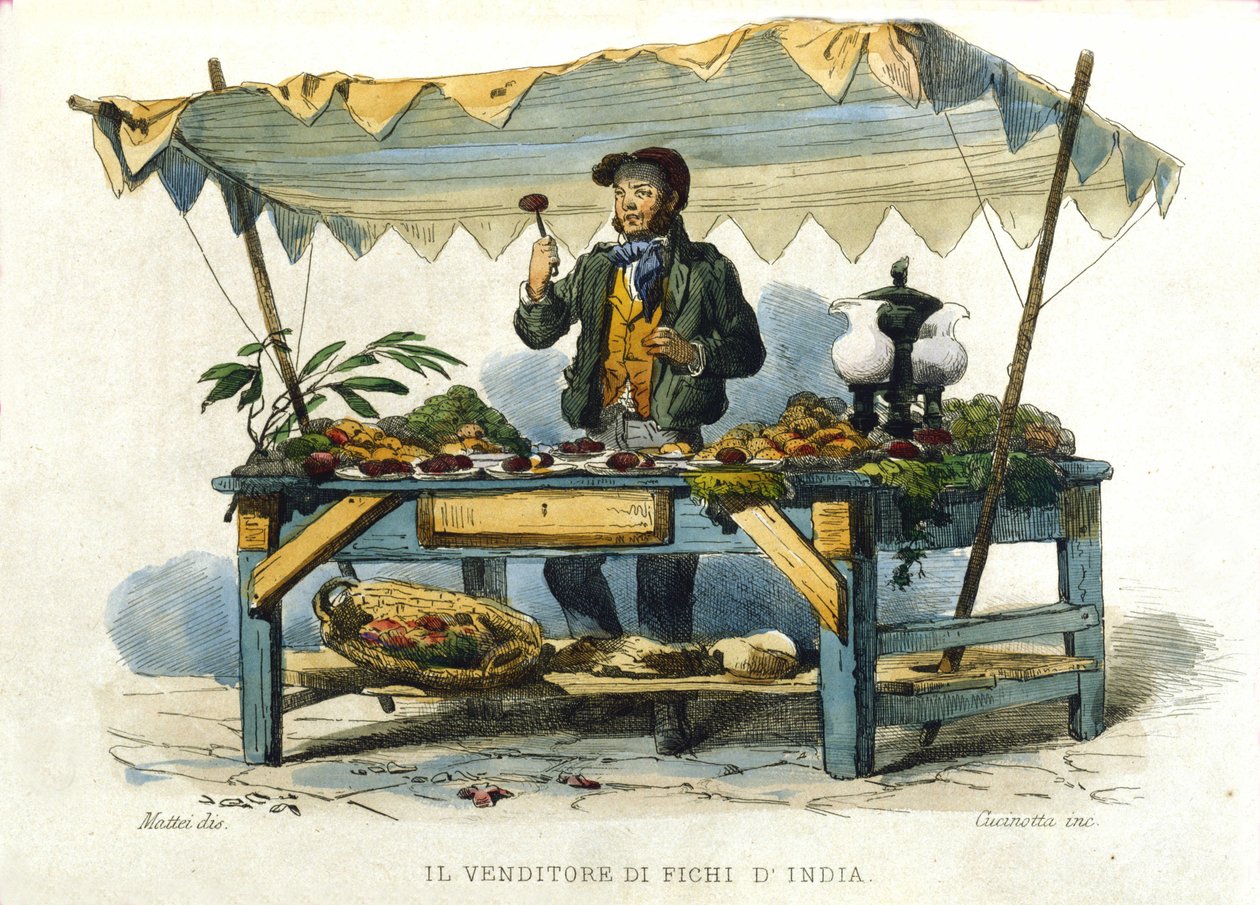 Nápoly városának kis üzlete: szúrós csapok eladója. Metszet F. Palizza festménye után. Francesco de Bourcard „” Costumi del regno di Napoli” című művéből” alkotó: Filippo Palizzi