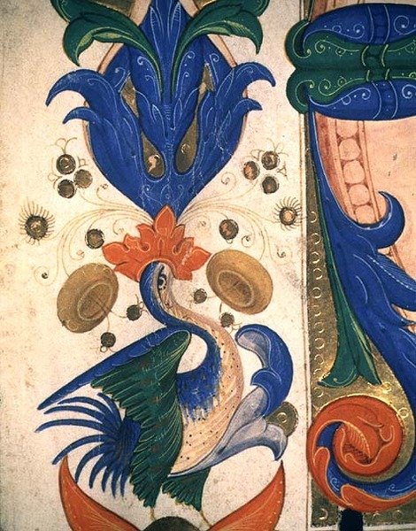 Missal 515 1r Zoomorf levélszegély, részlet egy 1449 előtt készült kóruskönyvből (88903 részlet) alkotó: Filippo di Matteo Torelli