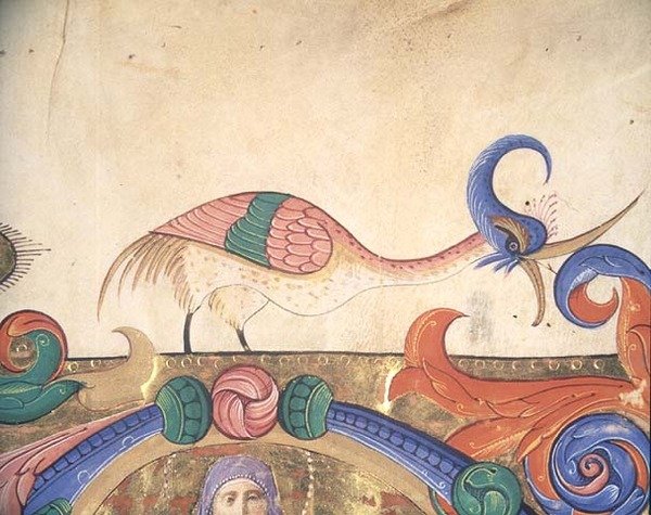 Mise 515 f.169r Fantasztikus madár, egy 1449 előtt készült kóruskönyv történeti iniciáléját körülvevő díszítés részlete (vellum) (56720 részlet) alkotó: Filippo di Matteo Torelli