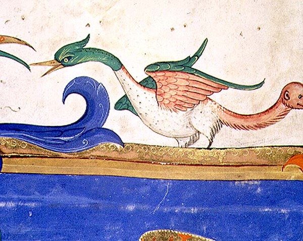 Missal 515 f.72v Fantasztikus madár majomarcú farokkal, részlet az 1449 előtt készült kóruskönyvből (56719 részlet) alkotó: Filippo di Matteo Torelli