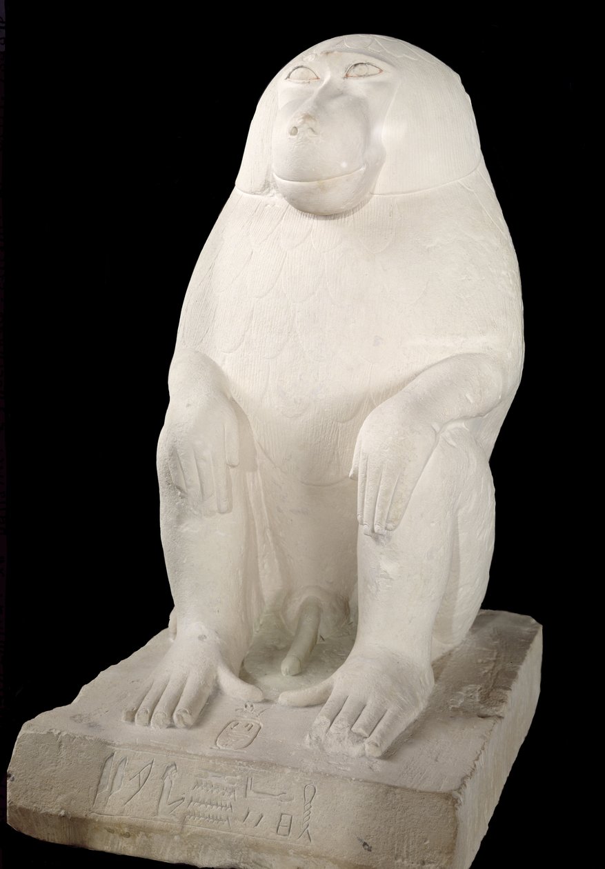 Pávián, Középbirodalom, esetleg 7. dinasztia (mészkő) alkotó: First Intermediate Period Egyptian