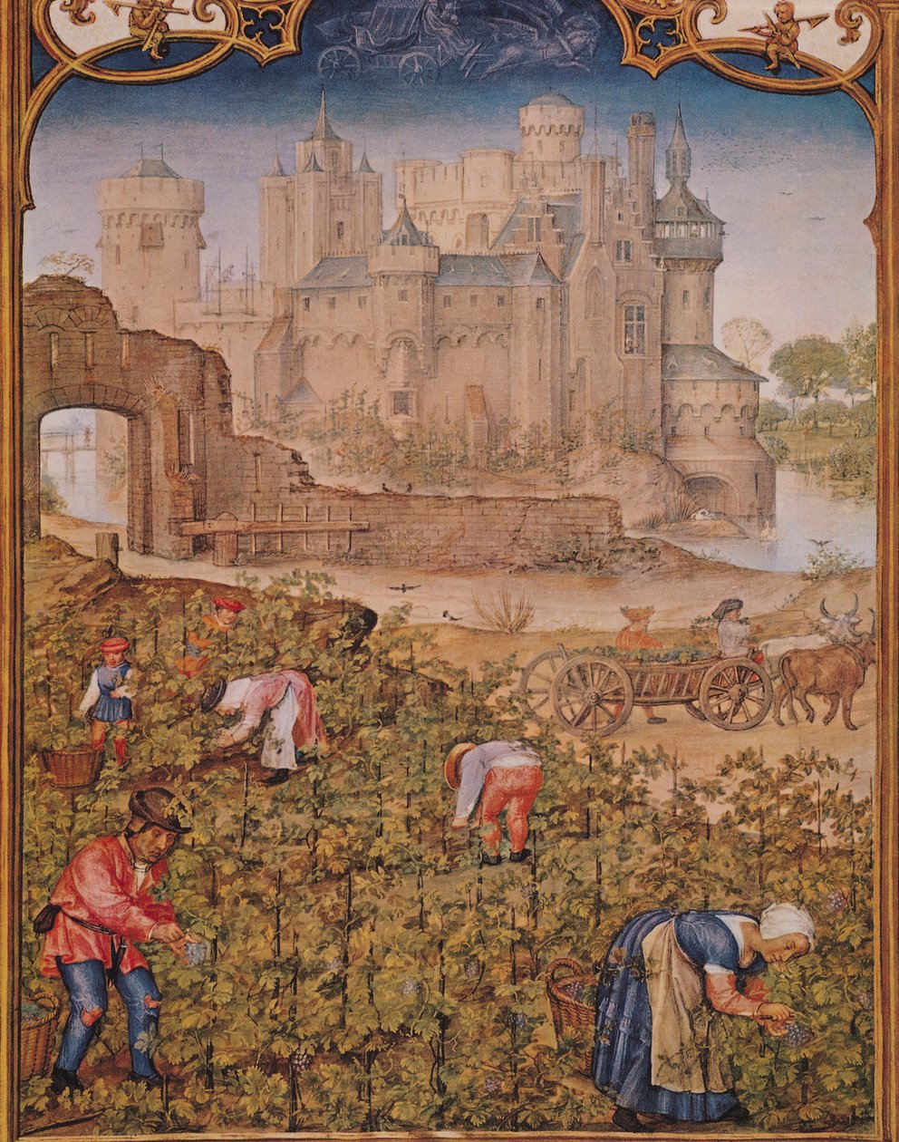 Fol.9v Szeptember hónapja: A borszüret, a Breviarium Grimani-ból, 1515 körül alkotó: Flemish School