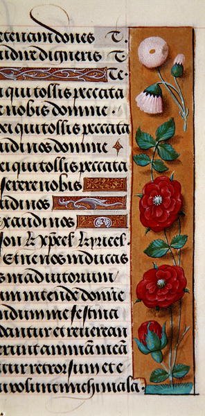 Ms. 1058-1975, f.120r: virágos szegély részlete egy Órakönyvből, 1500 körül (vellum) alkotó: Flemish School
