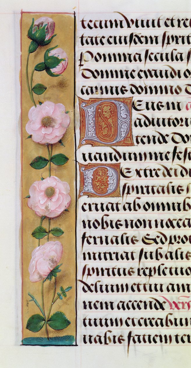 Ms. 1058-1975, f.34v: virágos szegély részlete az órák könyvéből, 1500 körül alkotó: Flemish School