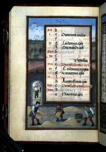 Ms 1058-1975 f8v Winnowing Corn in a Barn, megvilágított augusztusi naptároldal, egy Órakönyvből, 1500 körül (vellum) alkotó: Flemish School