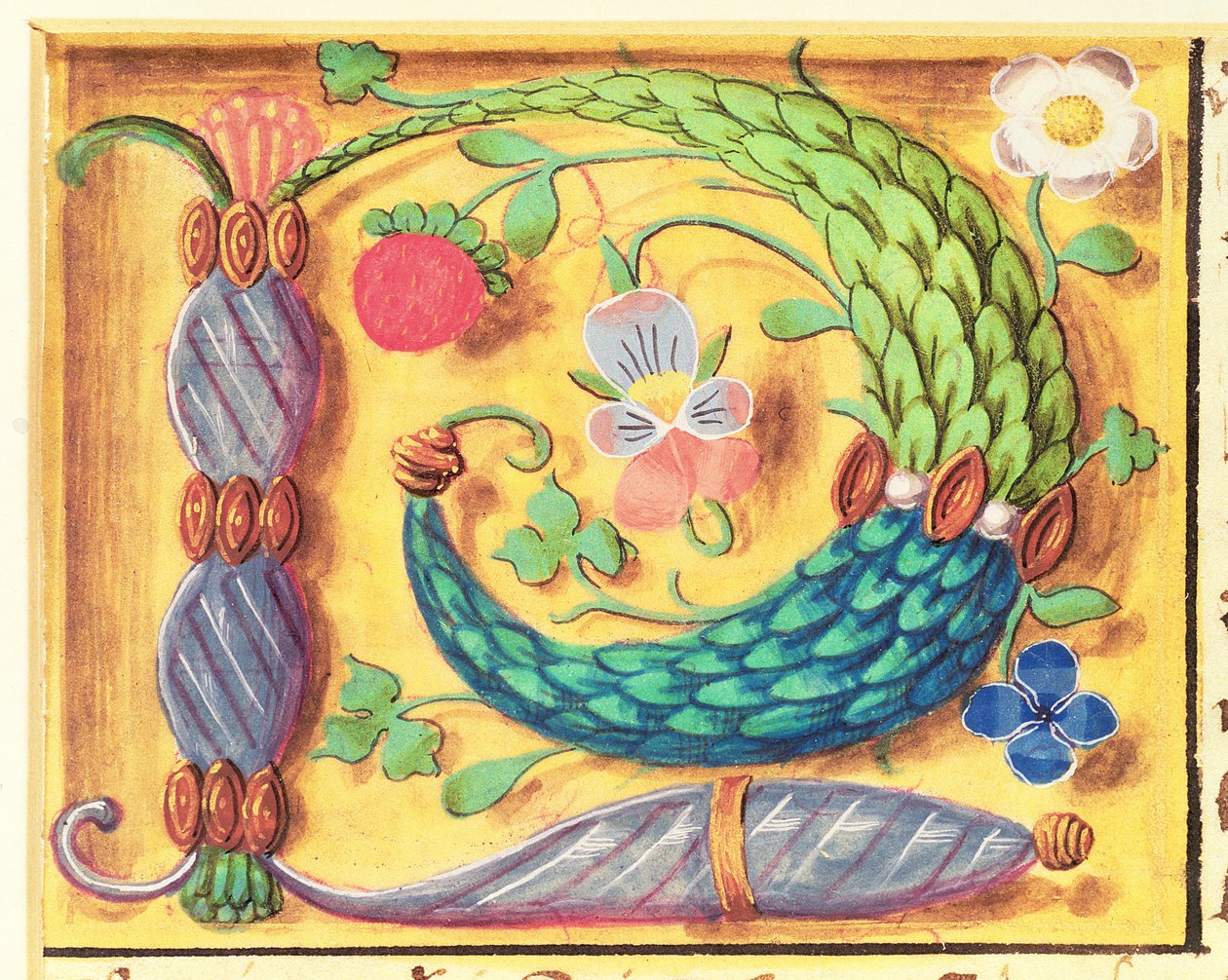 Ms 134 Virágokkal díszített, világító "P" betű egy Órakönyvből, 1500 körül alkotó: Flemish School