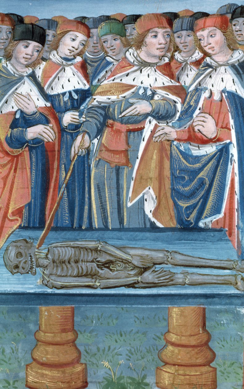 Ms Hunter 9 30v Dissection, De Medina Fen I. II, Avicenna (980-1037) alkotó: Flemish School
