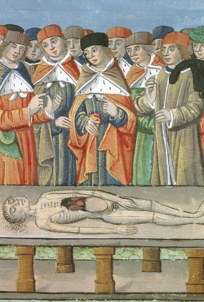 Ms Hunter 9 f.36r Boncolás, De Medina Fen I. II-ből, Avicenna (980-1037) alkotó: Flemish School